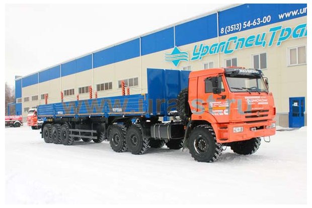 9083-10 с кониками