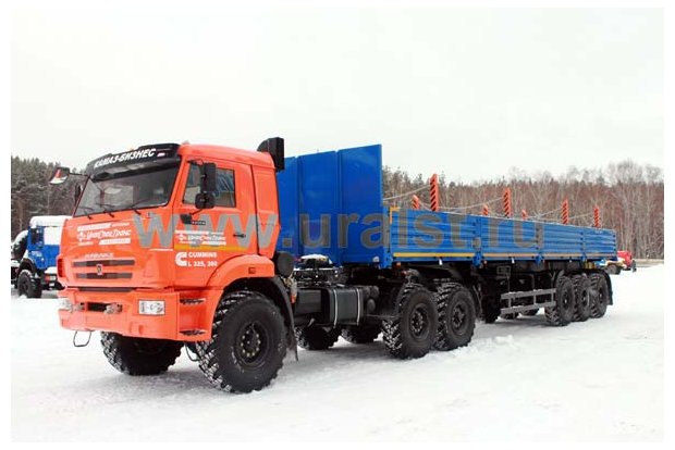 9083-10 с кониками