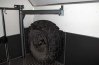Поворотная укосина грузопассажирского автомобиля Камаз