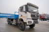 Бортовой автомобиль УСТ 5453 SHACMAN SX32586V385 6х6, база 4575мм, односкат