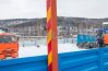 Коники