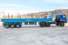 Полуприцеп контейнеровоз ППК 40-32-12КБ BPW УСТ 9465 2Х1С, 1Х1А