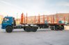 Полуприцеп сортиментовоз ППСВ 32-24Д-12 УСТ-94651