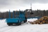 Полуприцеп сортиментовоз ППСВ 27-24-10Б УСТ-94651