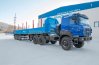 Полуприцеп контейнеровоз ППК 35-31-12КБ УСТ 946518
