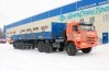 9083-10 с кониками